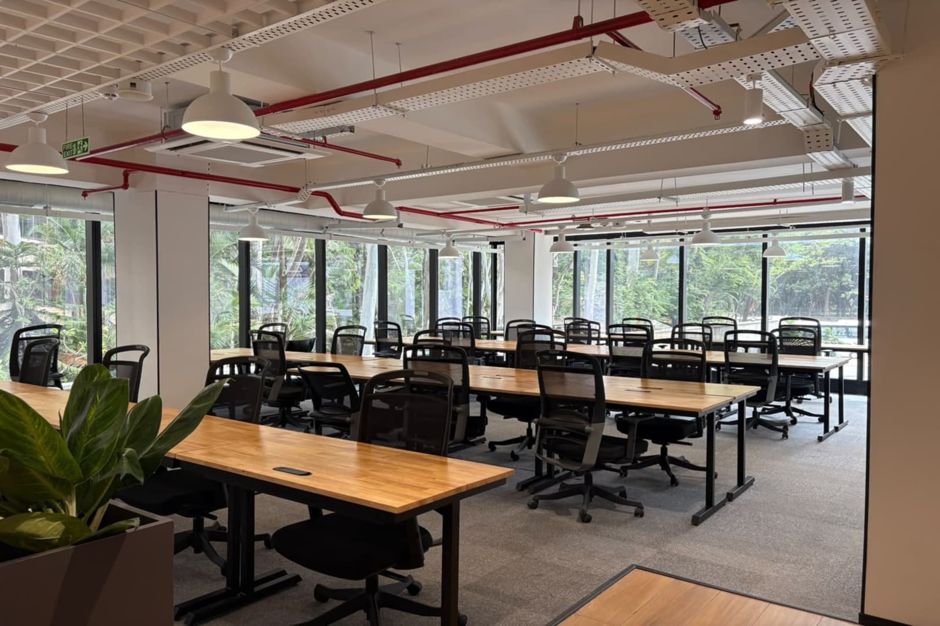 Moss by IBC - coworking space