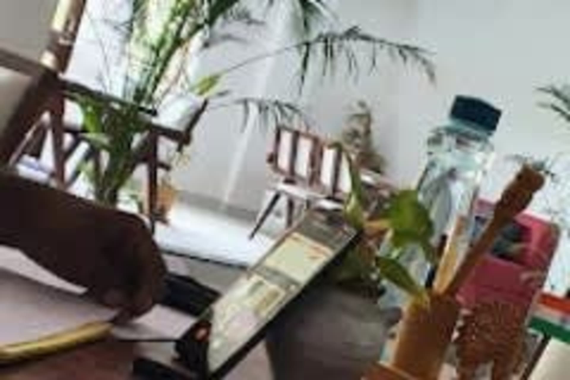 225 West in Jaipur