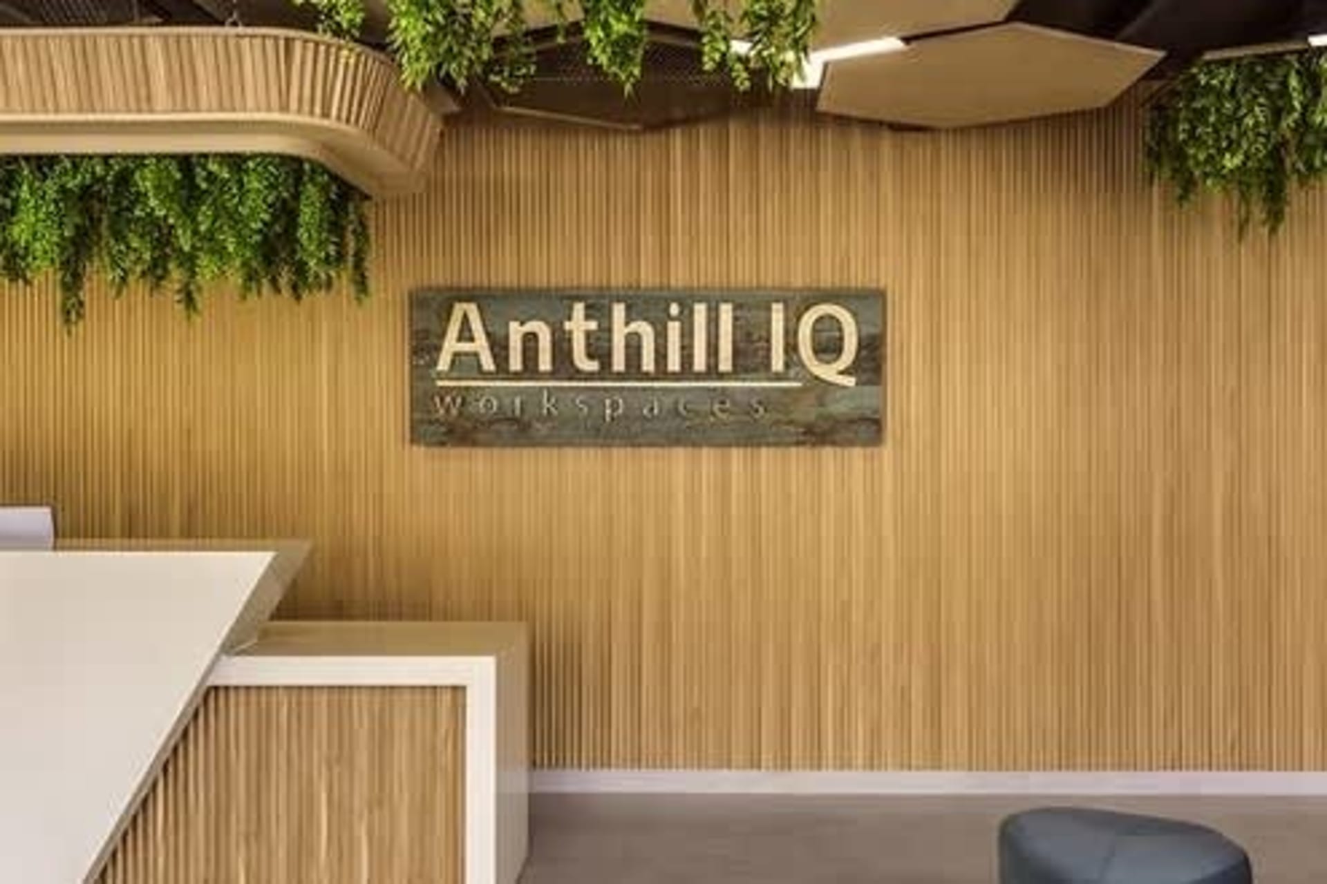 Anthill IQ undefined