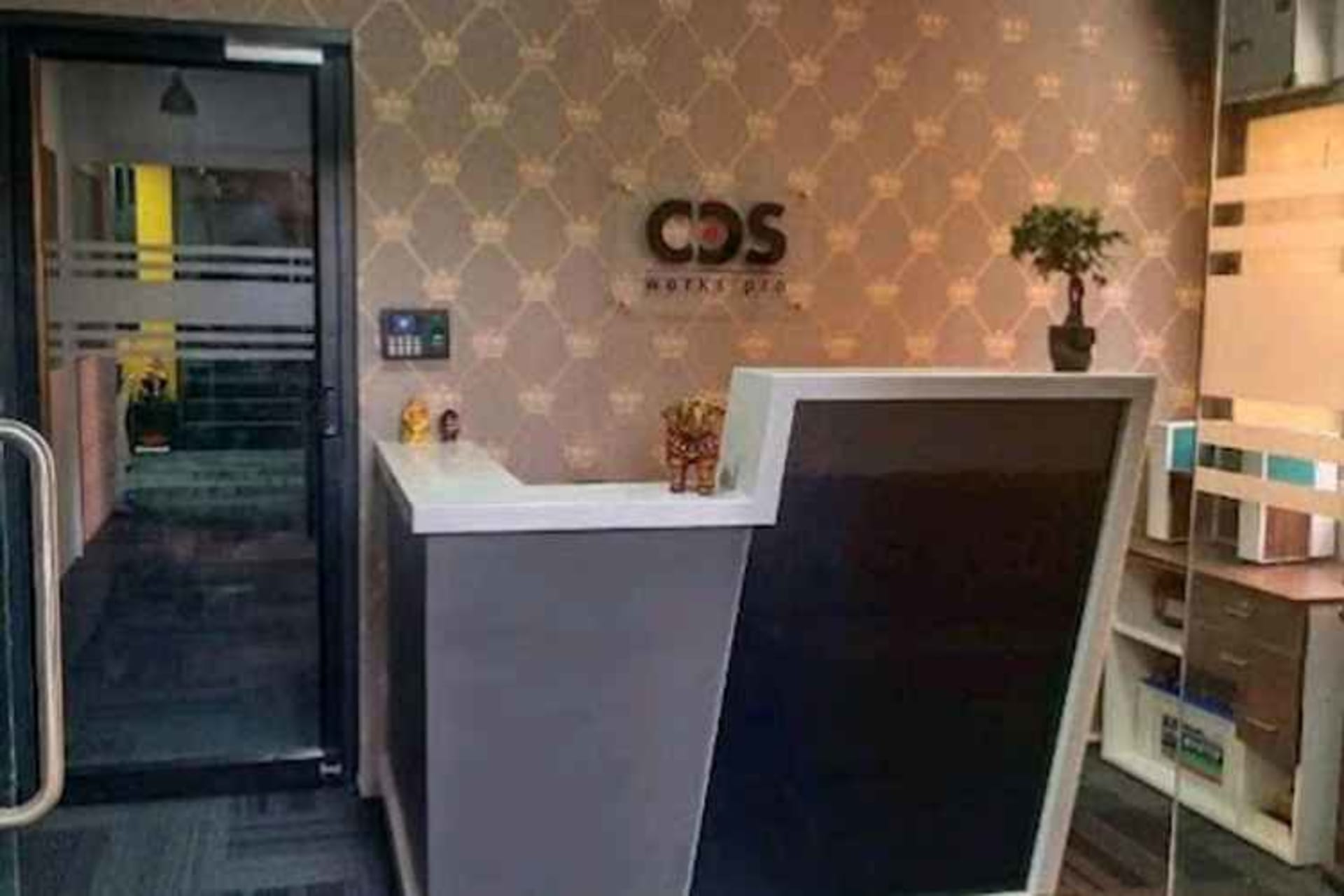 CDS Workspro undefined