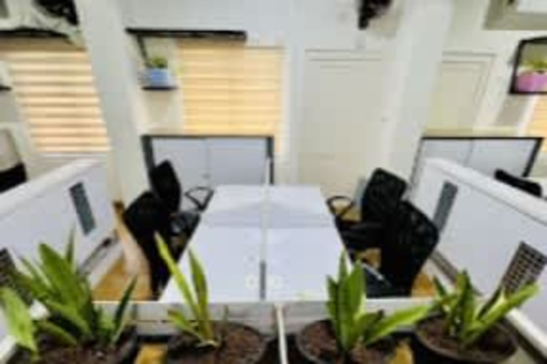 Coworking AtoZ in Kozhikode