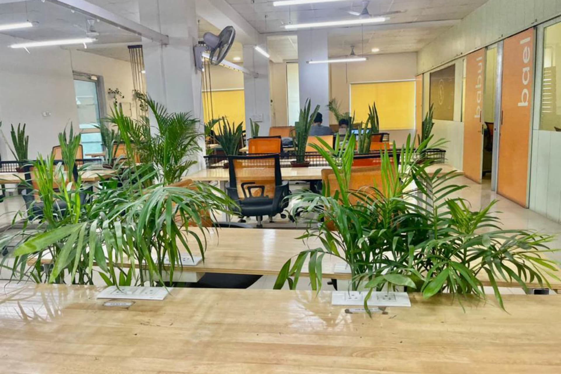 Deleco Workspace in Noida