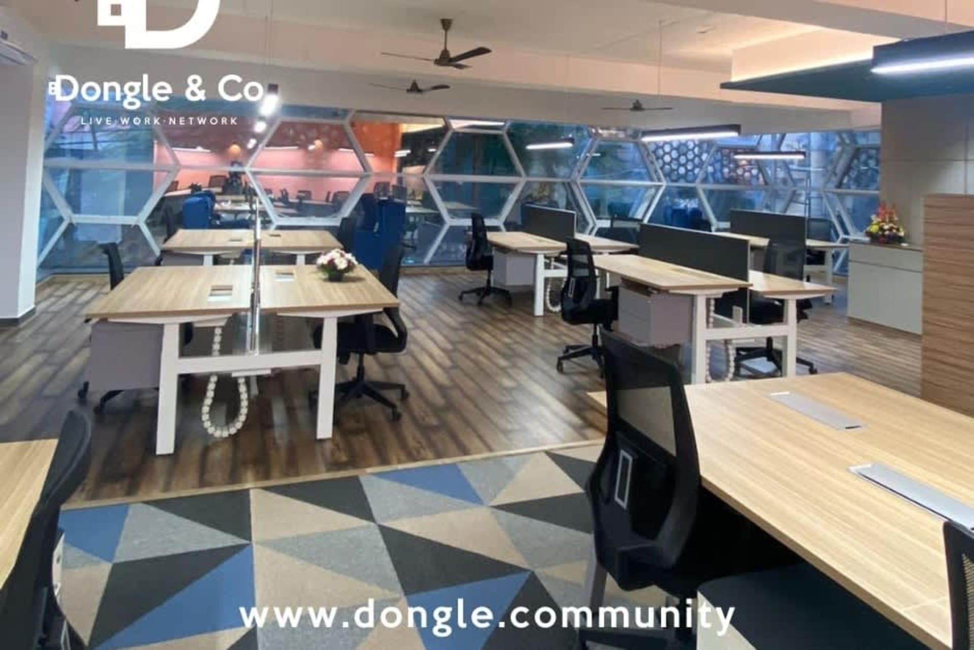 Dongle & Co undefined