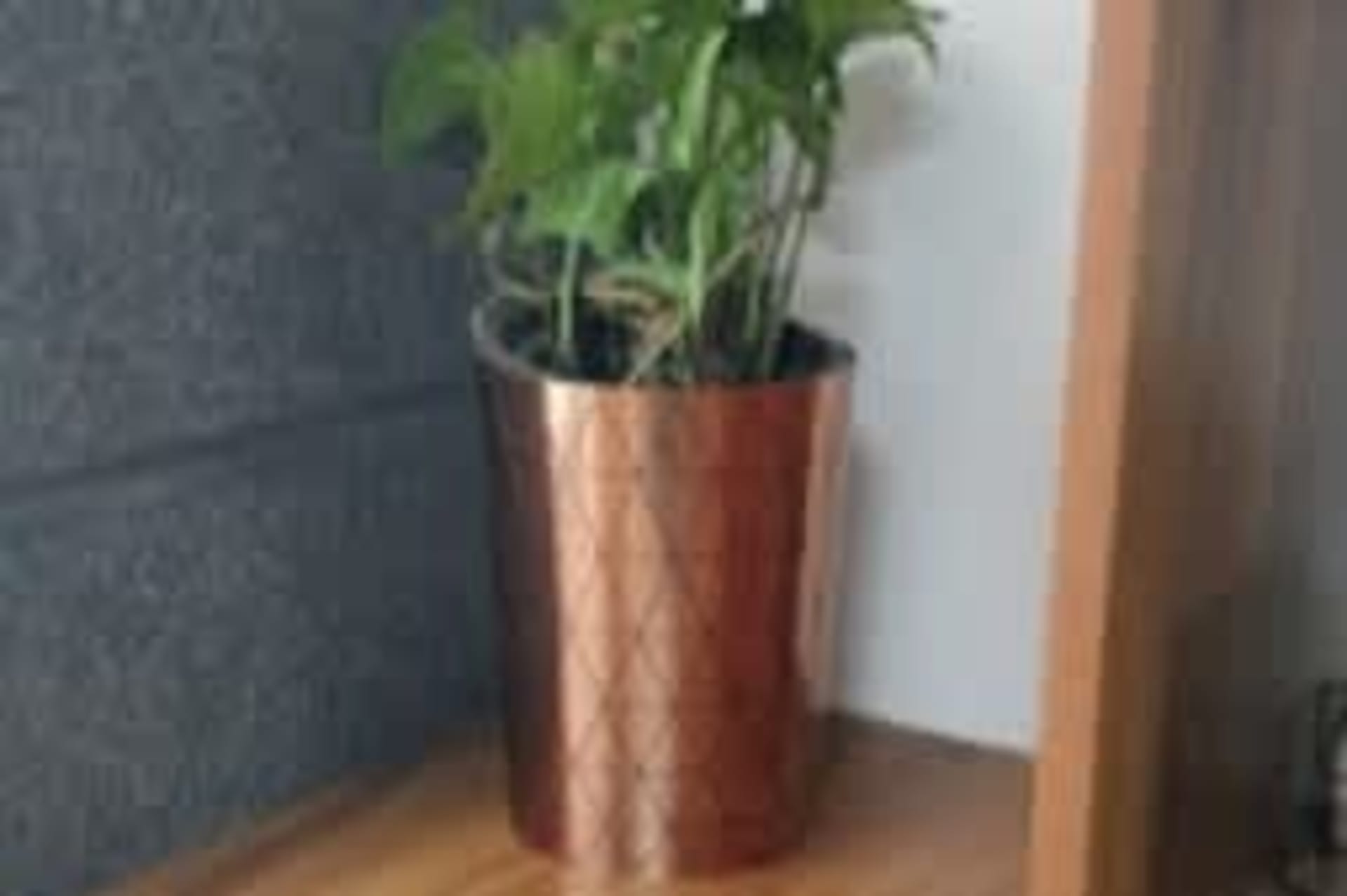 Ecospace Coworking - coworking space