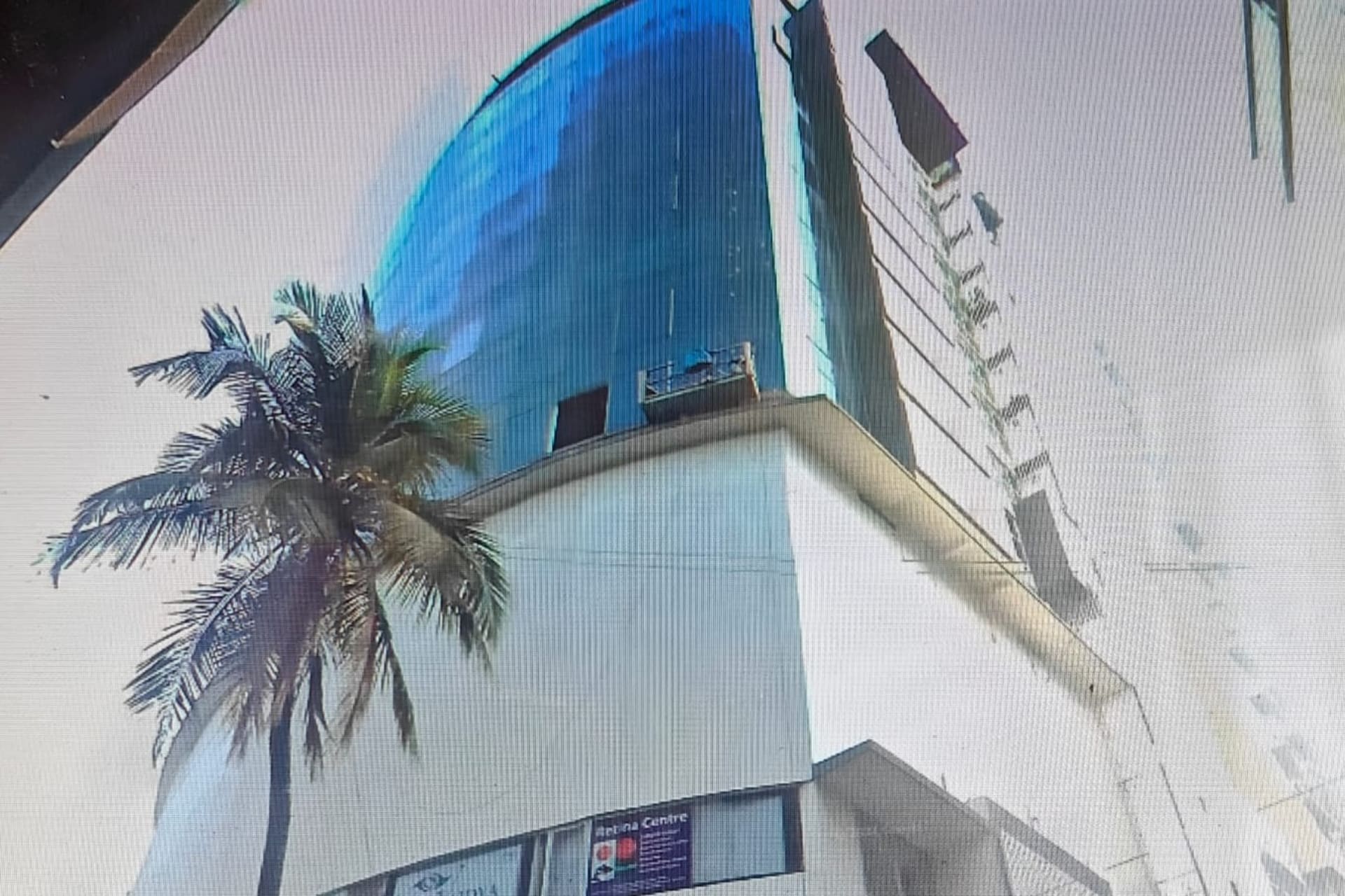 Gypsy Moth - coworking space