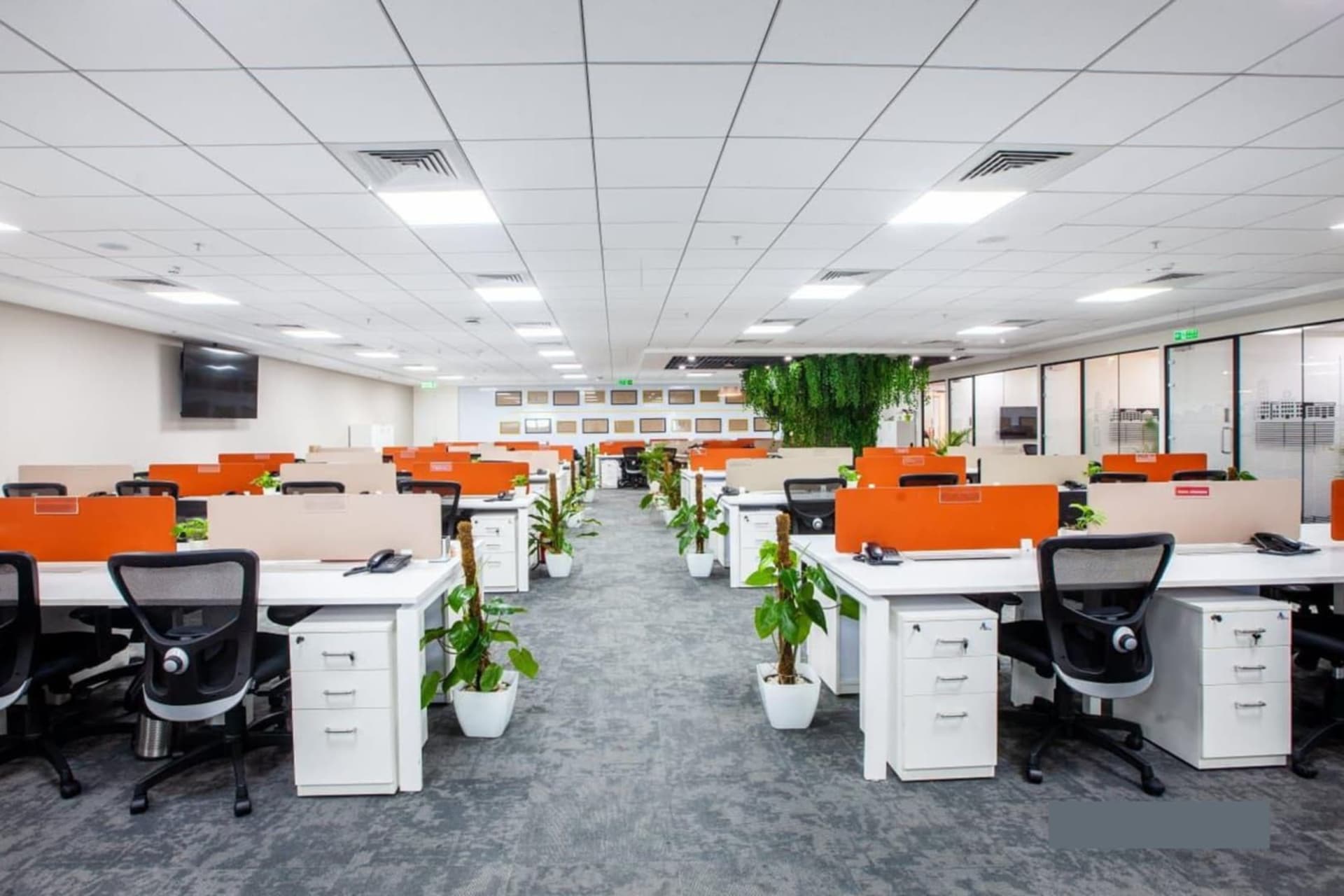 Incubex - coworking space