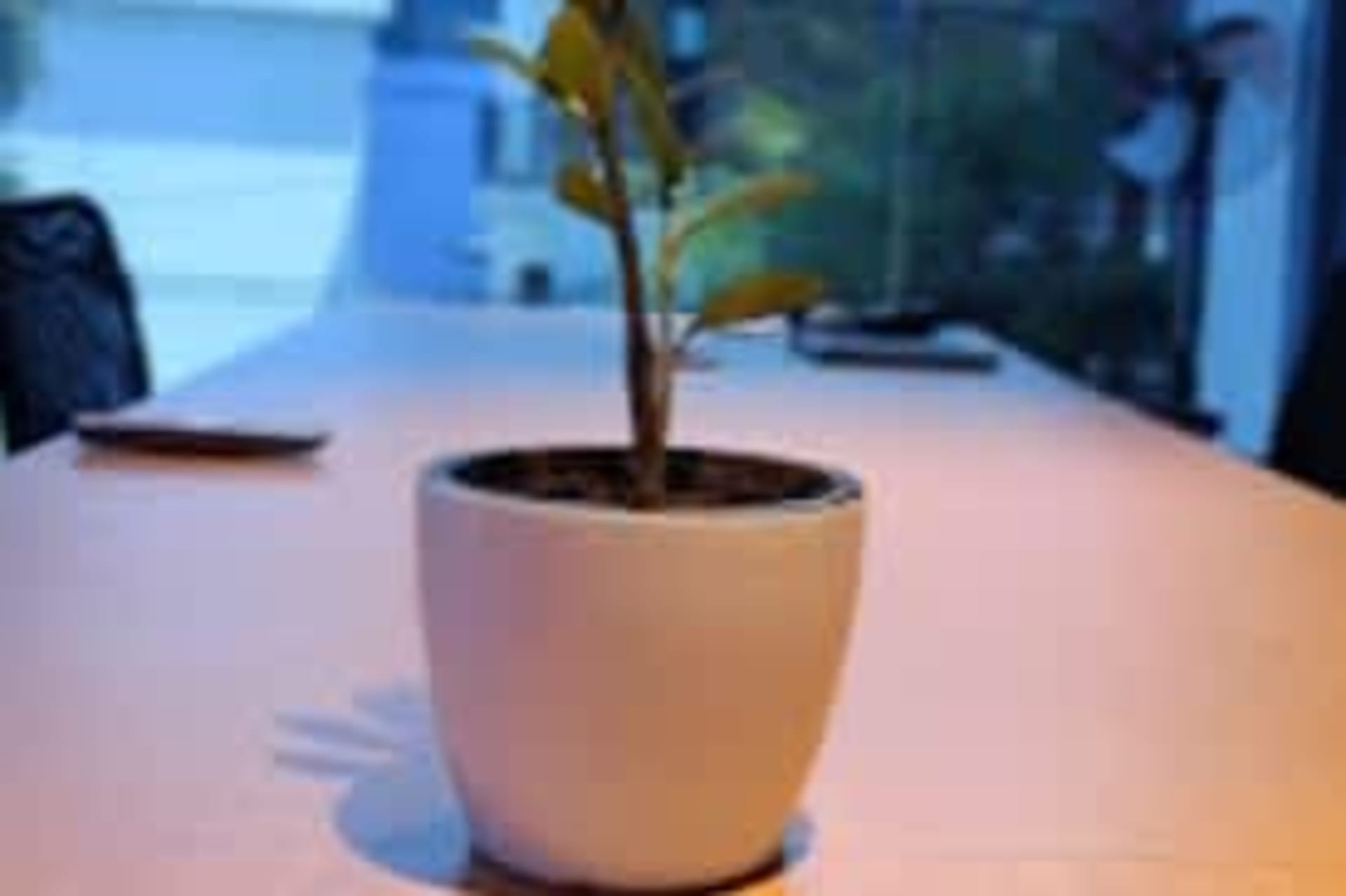 Kikstaart CoWork - coworking space