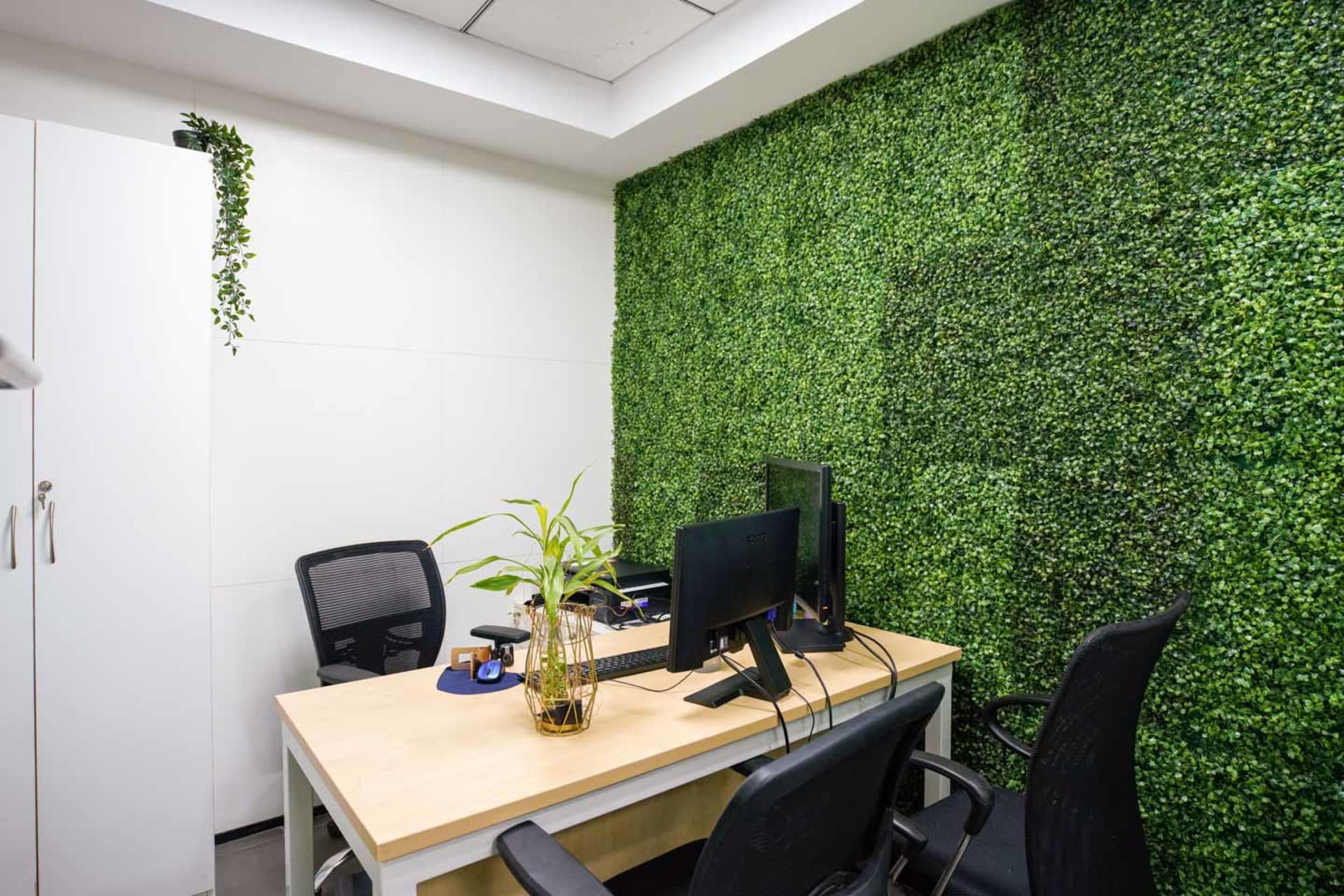 myCOoffice - coworking