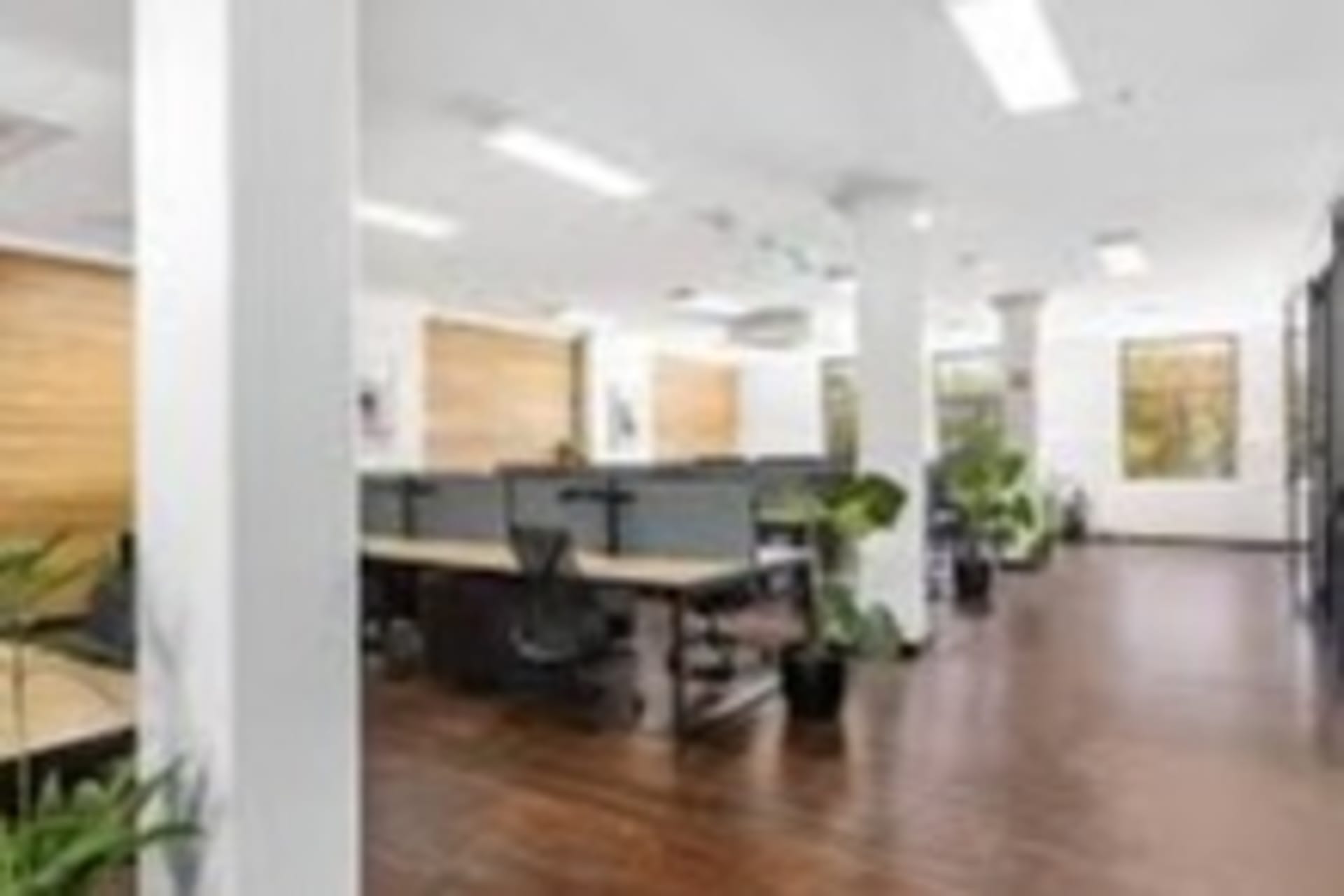 Nest Coworking - coworking space