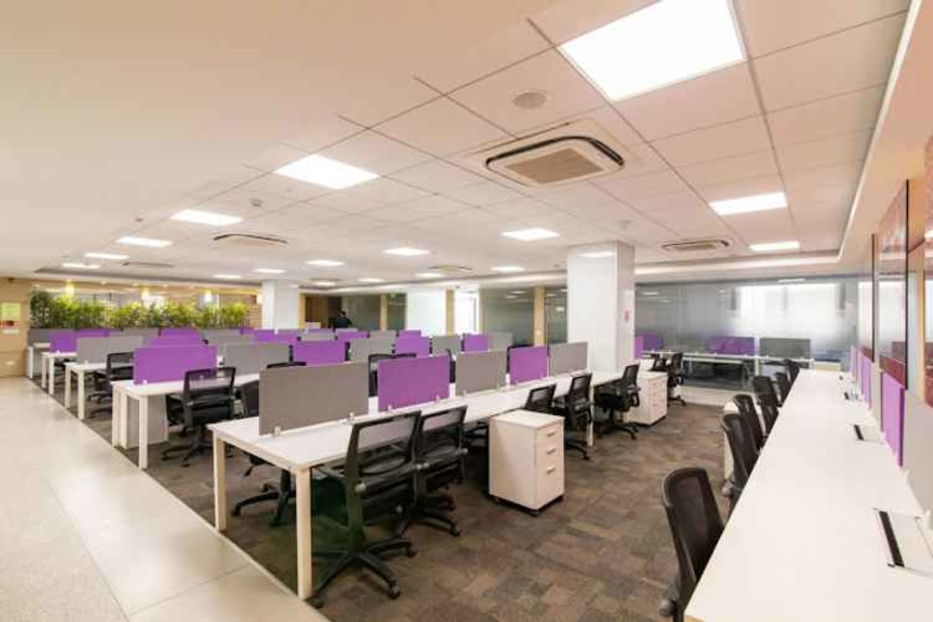 Paraxel in Noida