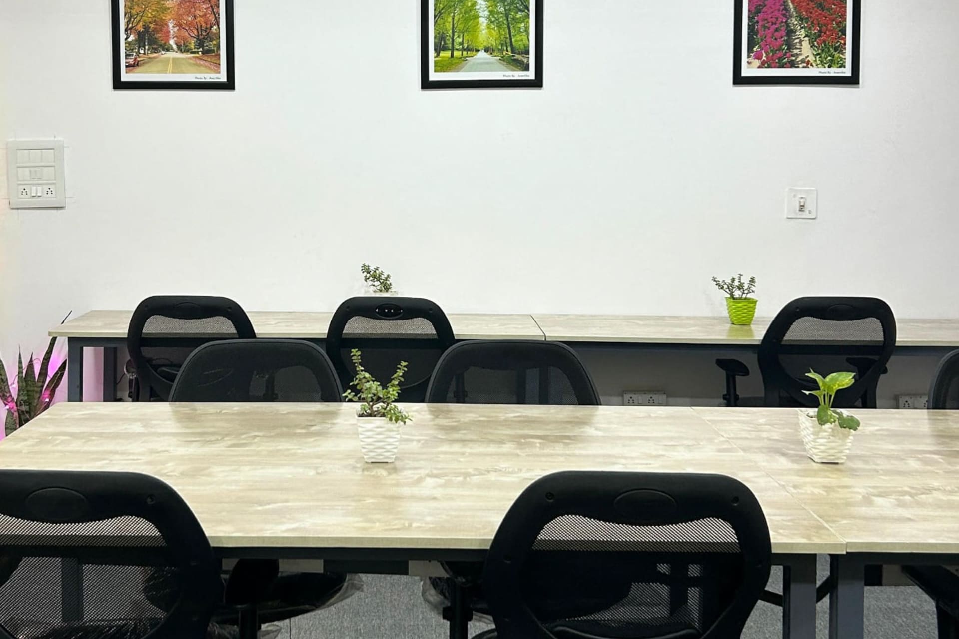 Purple Coworking - coworking space