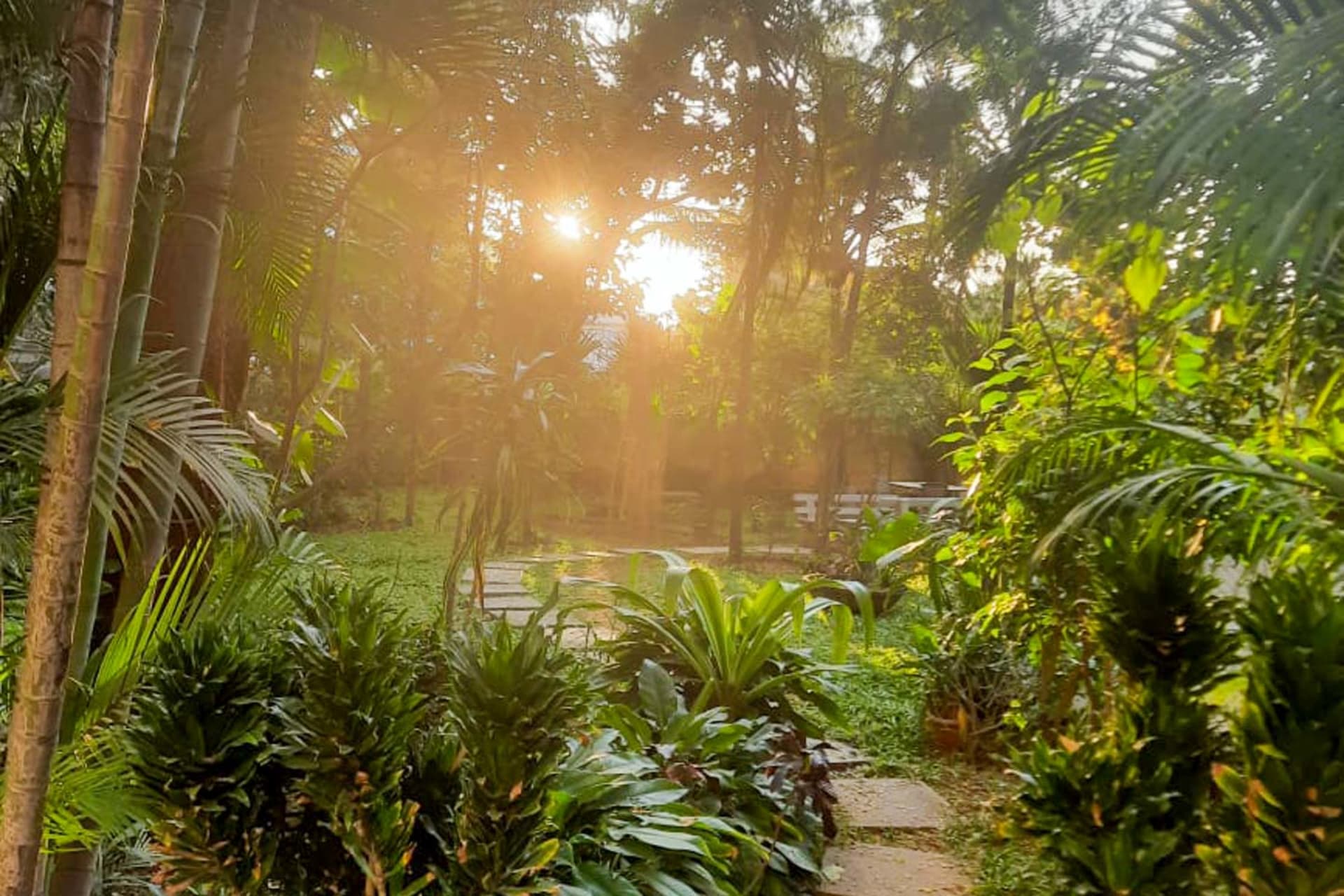 Share Space - coworking space