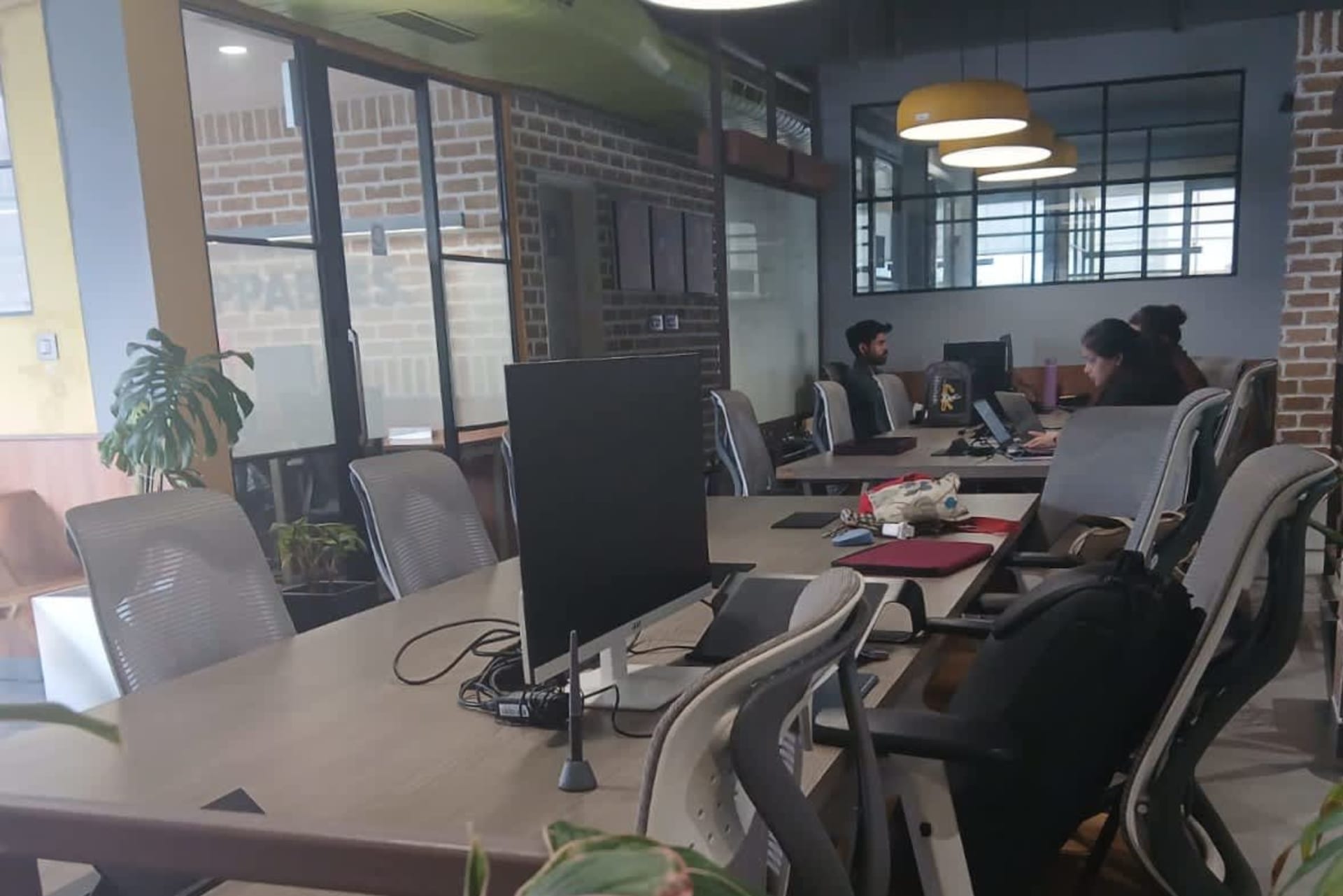 Spacetime - day pass