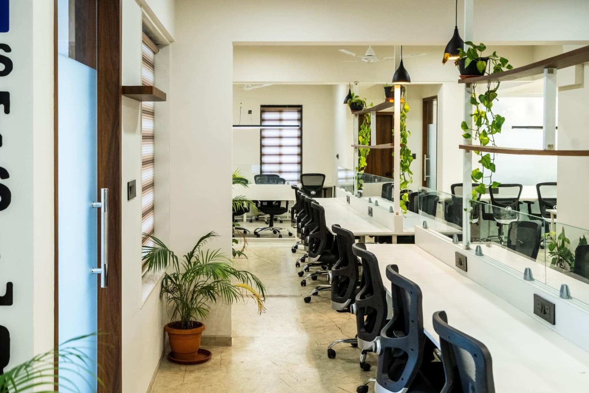 SpaceX Co-work undefined