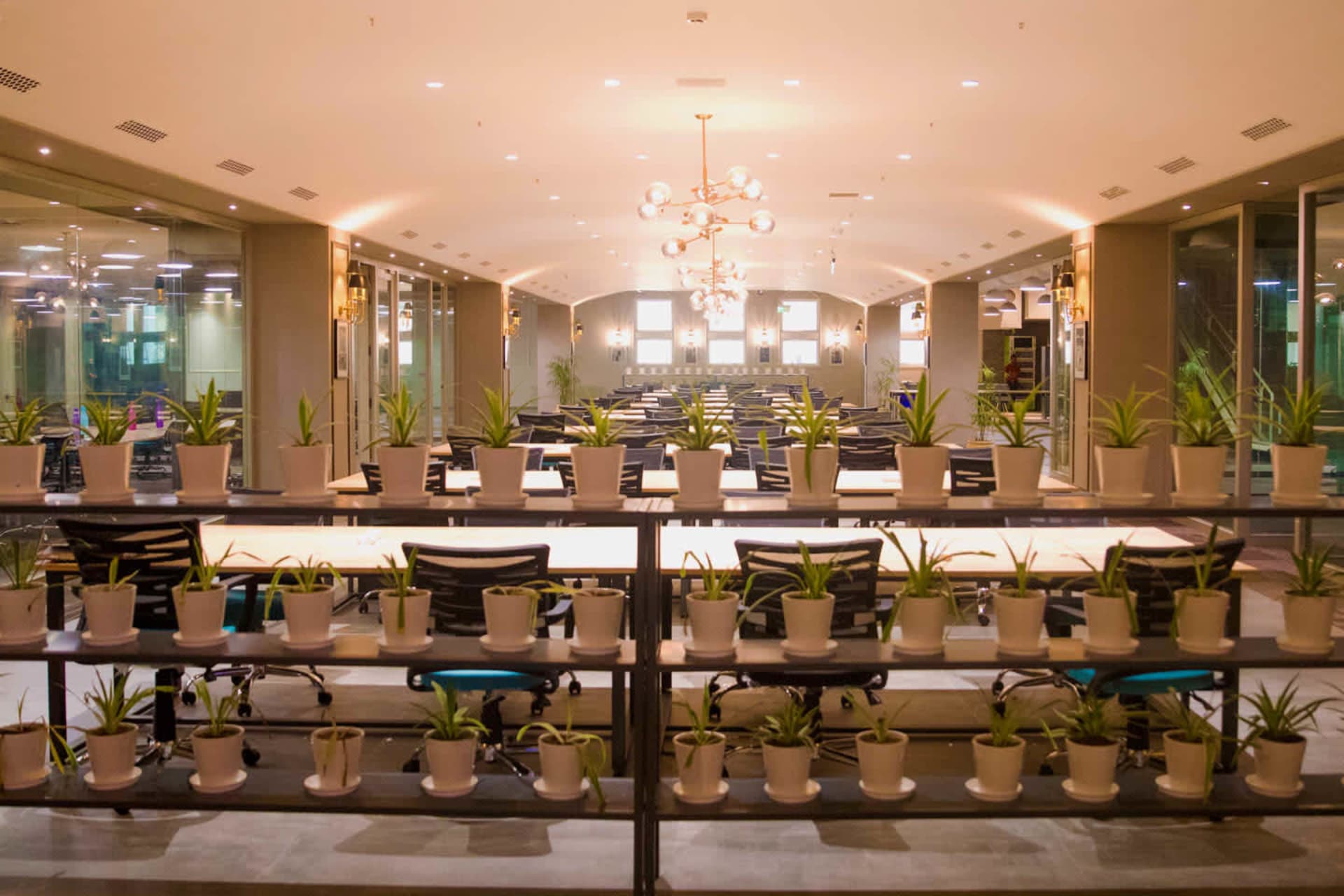 SpringHouse DLF Grand Mall