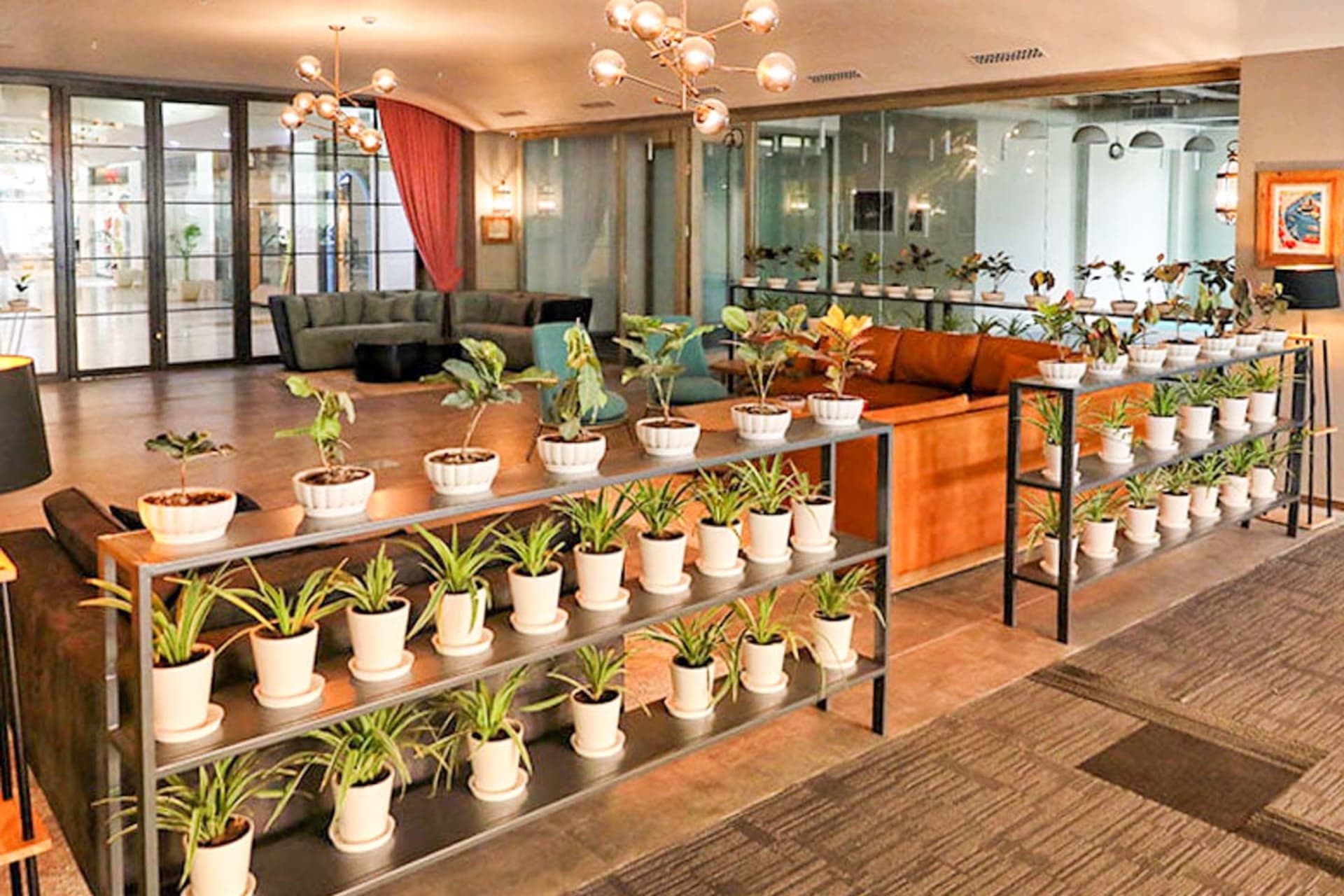 Springhouse - coworking