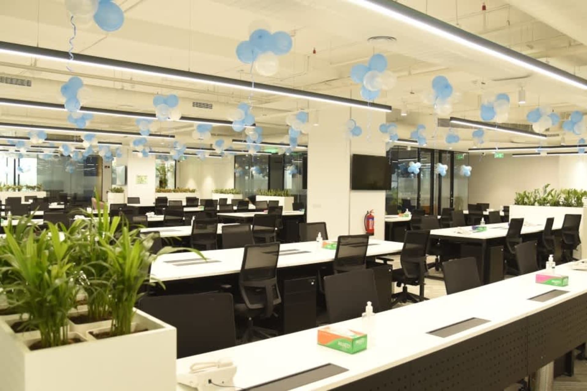 Stellar Workspaces - coworking space