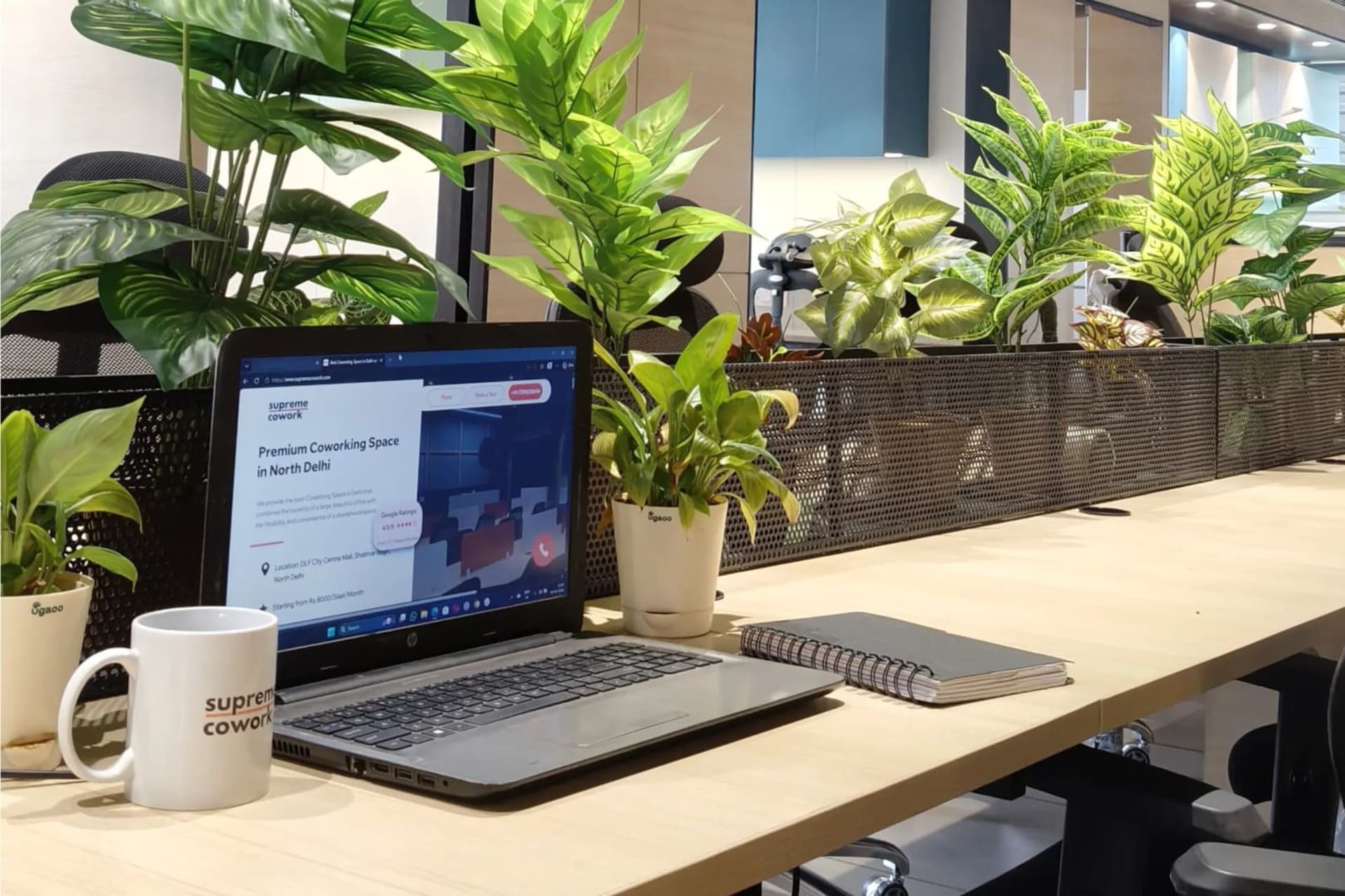 Supreme Cowork Space - day pass