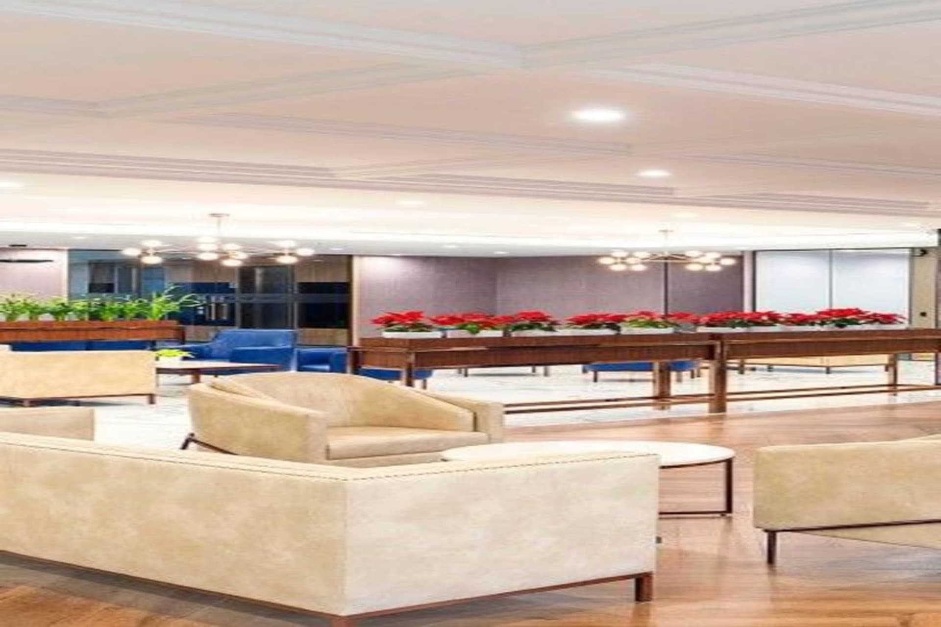 Table Space - coworking space