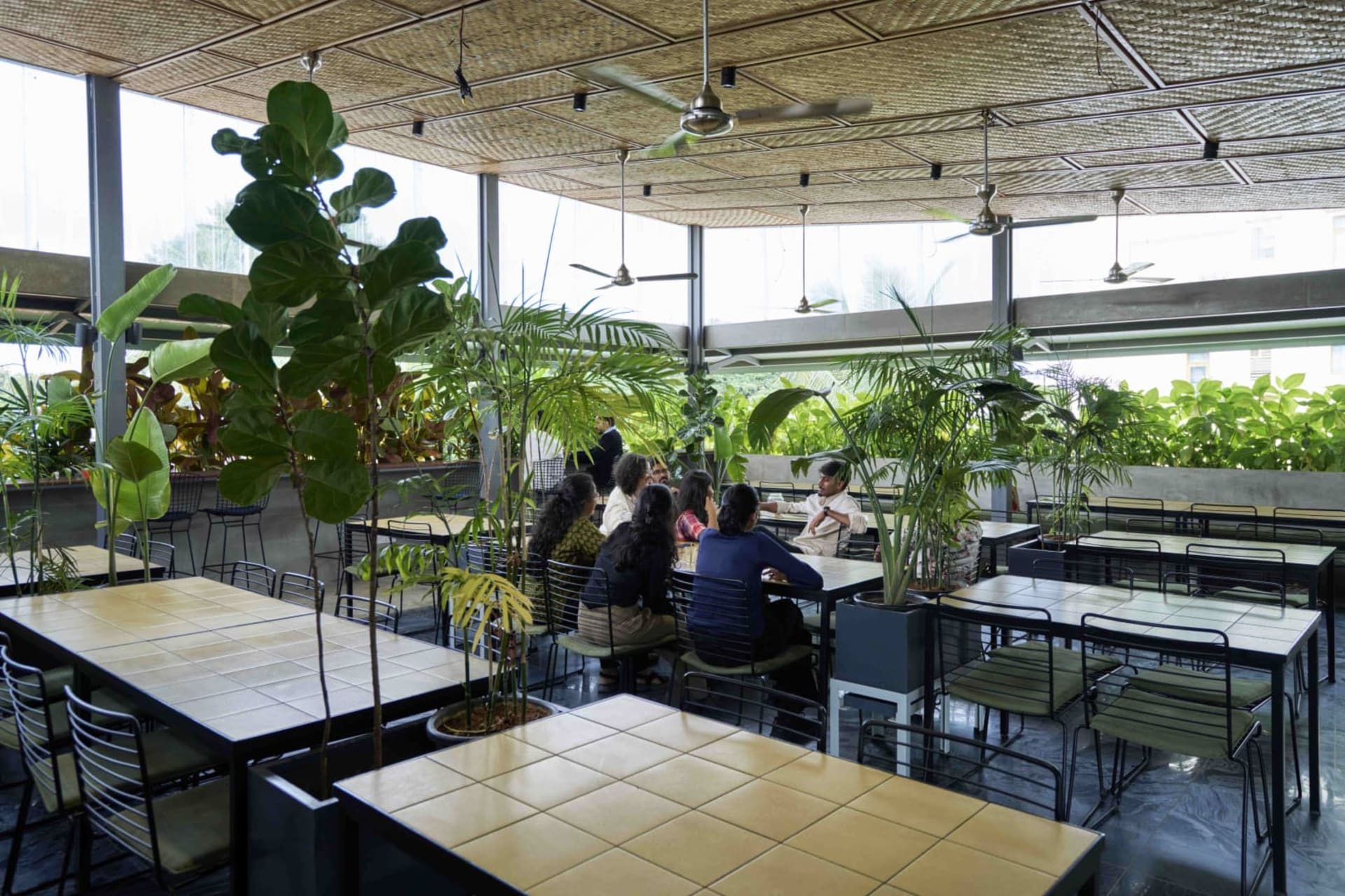 The Bangalore Local - OUTDOOR_TERRACE