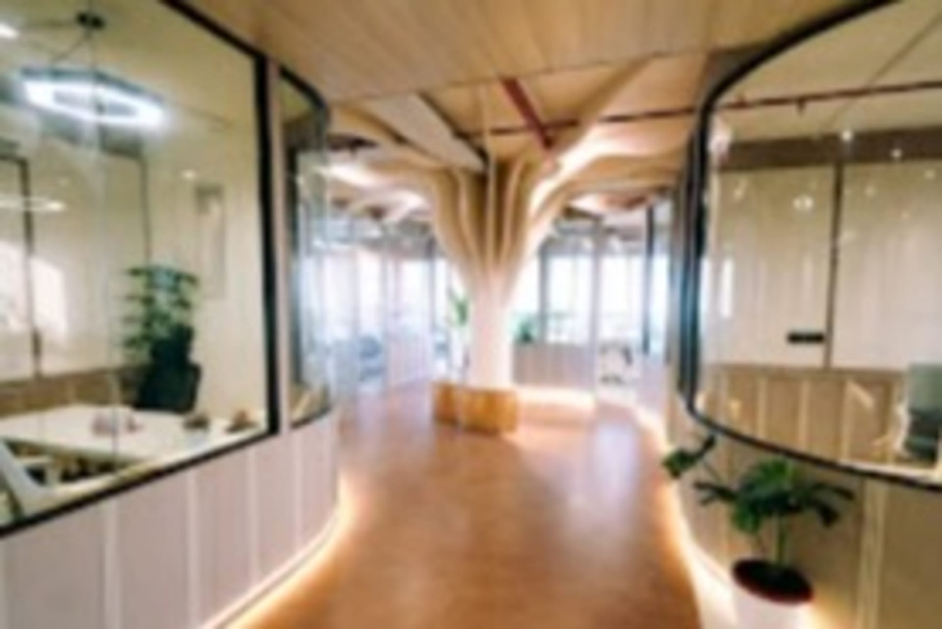 The Coworking Company coworking space in Ramdaspeth, Nagpur