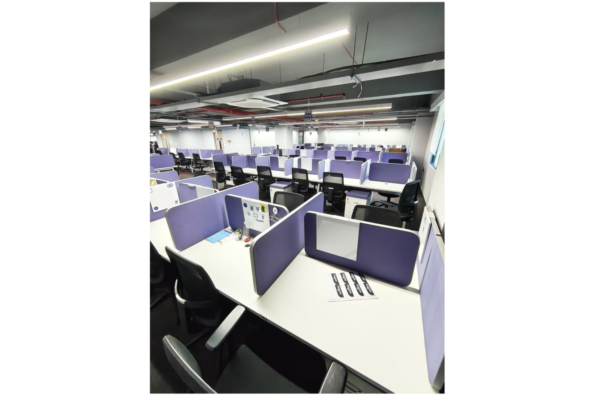 The Startup Park undefined