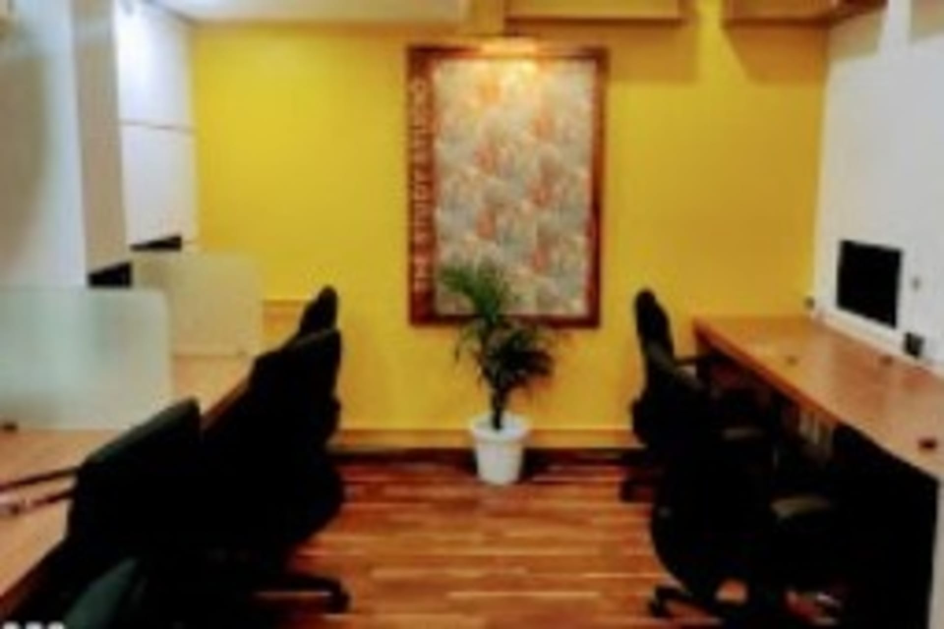 THE STUDY STUDIO undefined