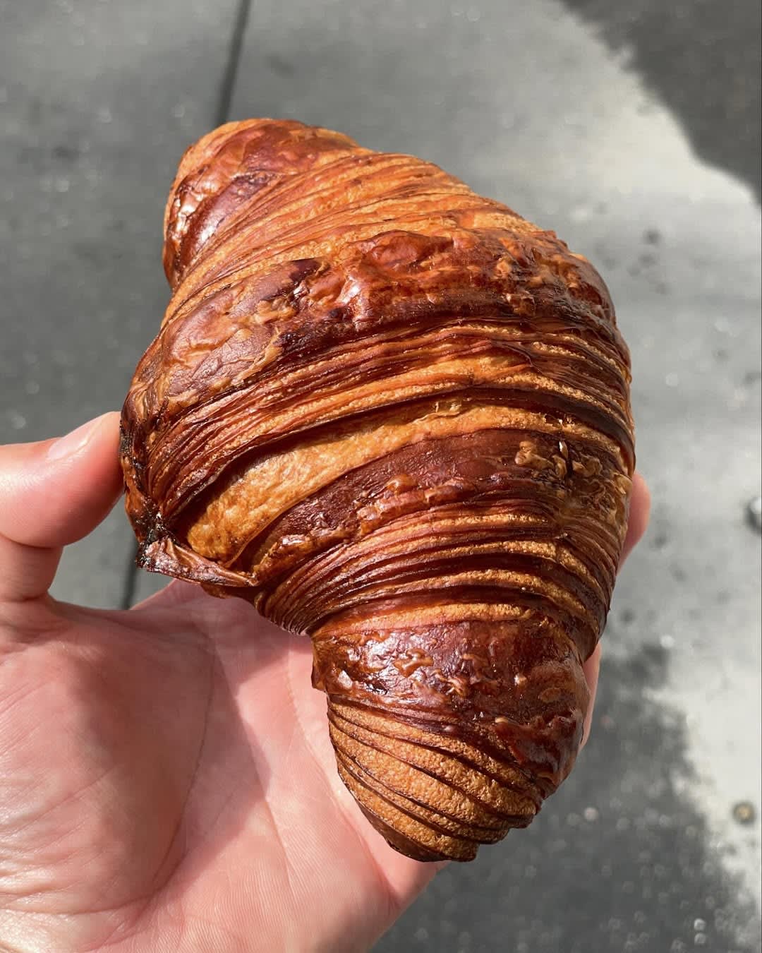 Blé Sucré