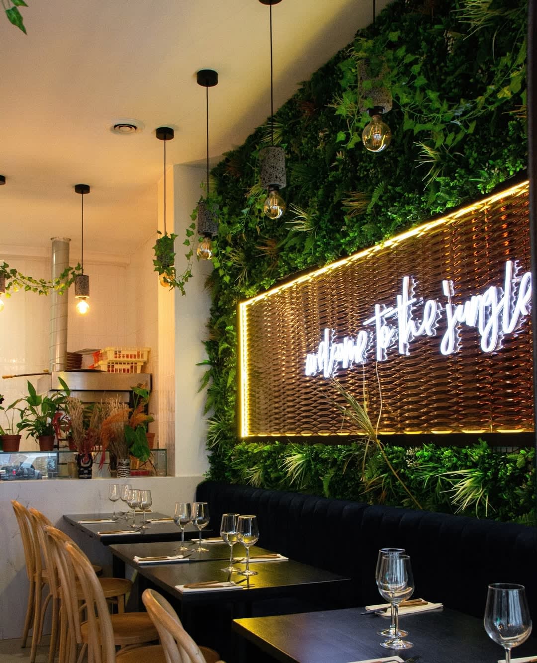 The Jungle