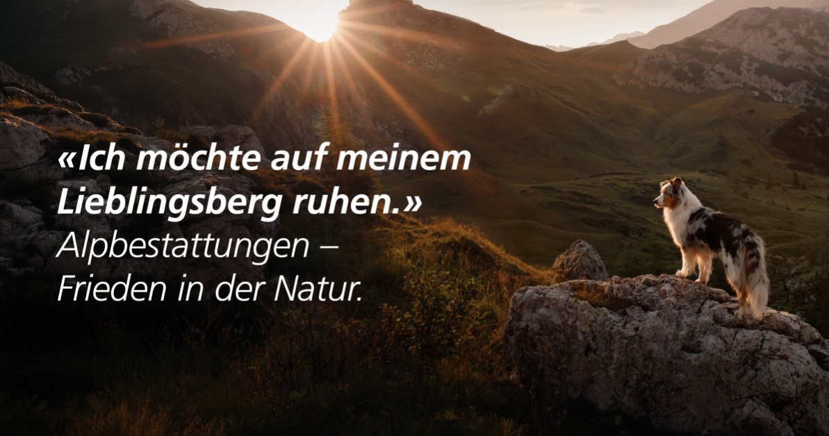 Letzte Ruhe in der Natur: Was ist in der Schweiz erlaubt? ??