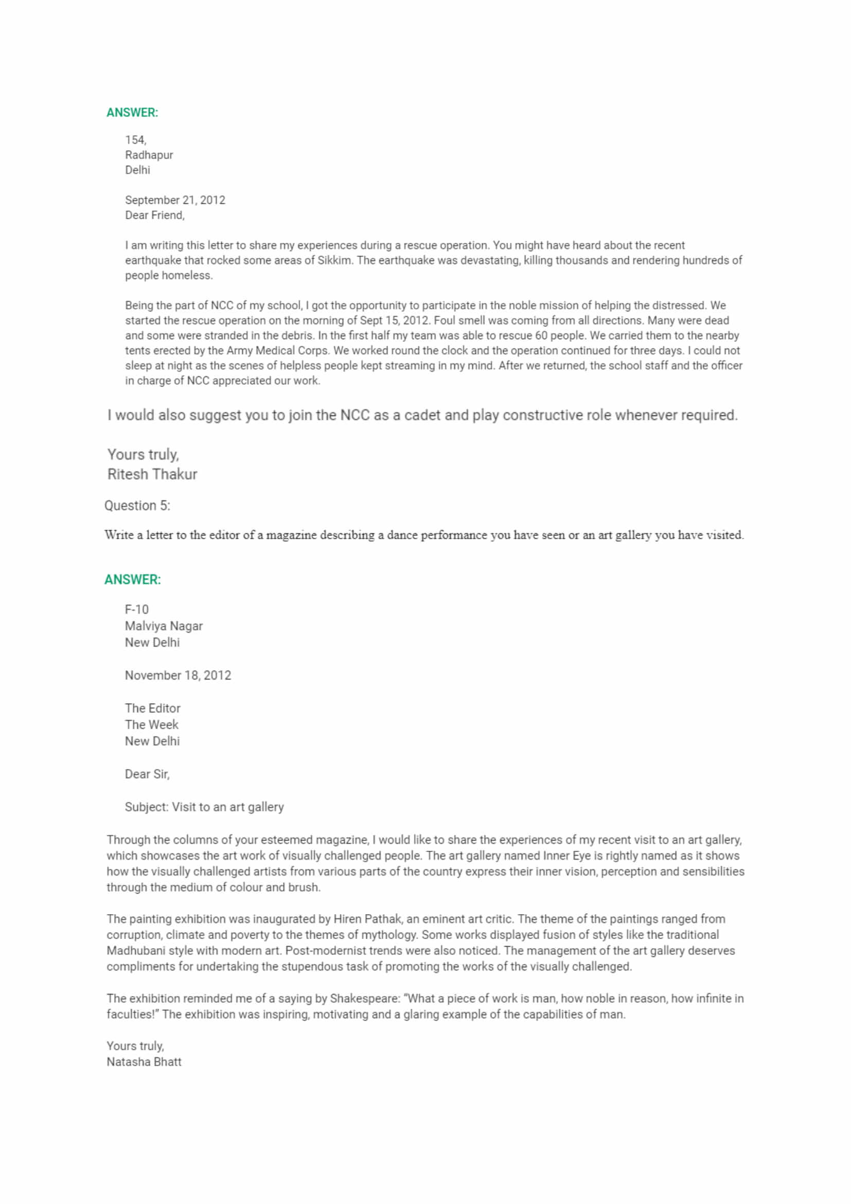 Hornbill essay image