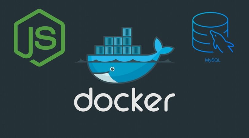 docker mysql