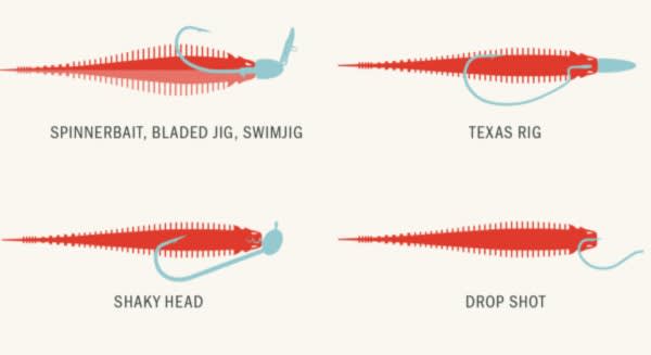 Yoto Worm: Versatile Soft Plastic Worm