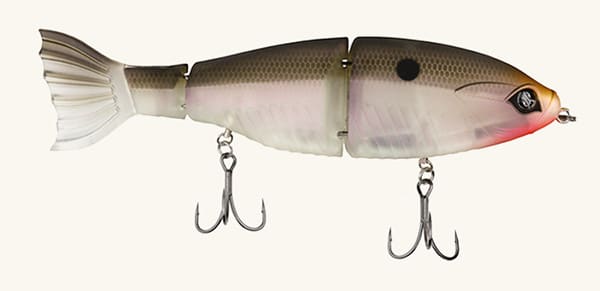 Gizzard Shad 7″