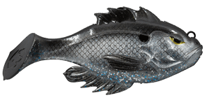  Catch Co 10,000 Fish Head Hunter 3.25 Soft Swimbait (Carbon  Crappie) : Sports & Outdoors