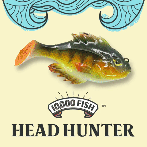  10,000 Fish Head Hunter - Fully Rigged Swimbait (3-1/4 in. 1/2  oz., Desert Gill) : Sports & Outdoors