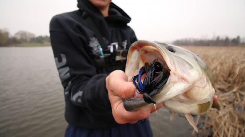 LOADED Tackle Box