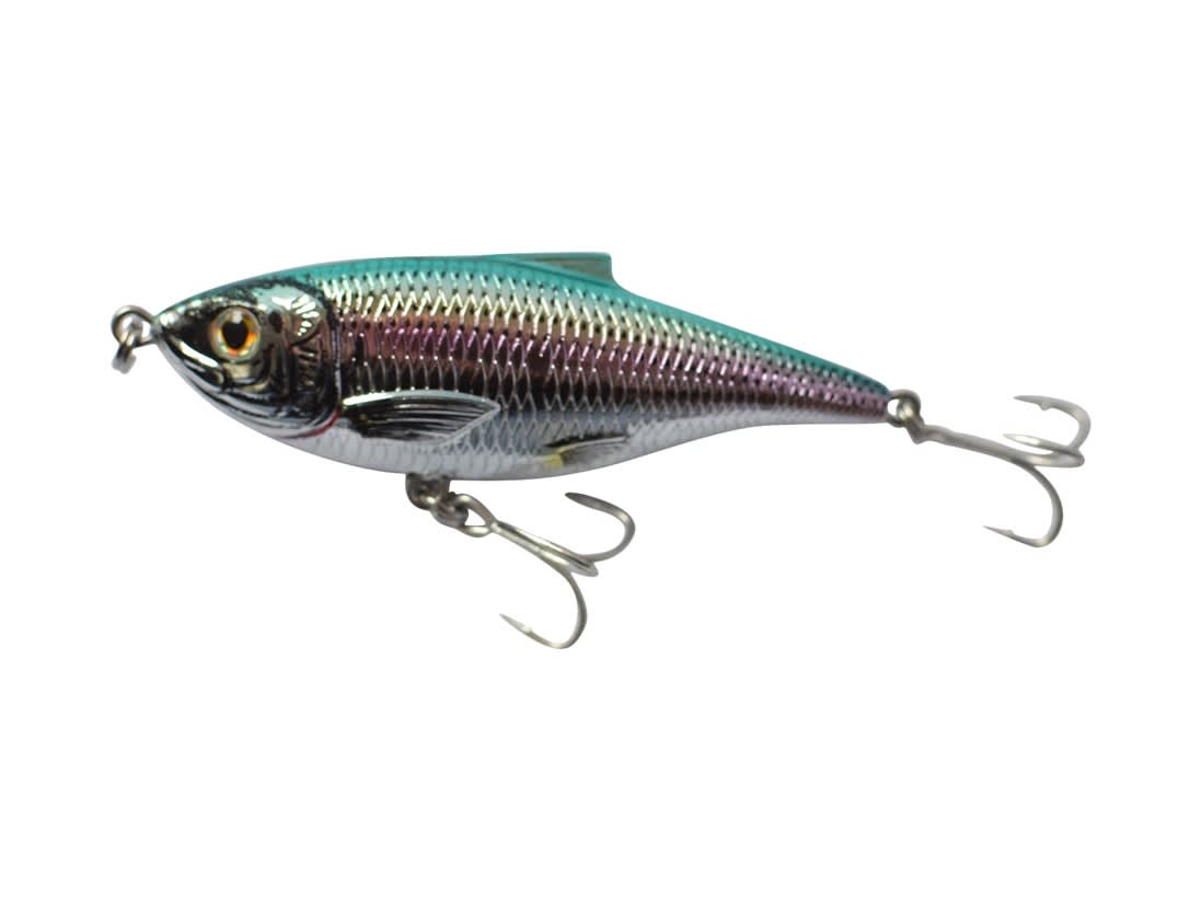 LIVETARGET Spanish Sardine Karl’s Bait & Tackle