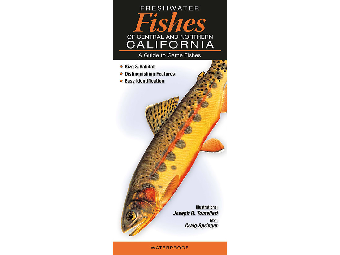 california freshwater fish