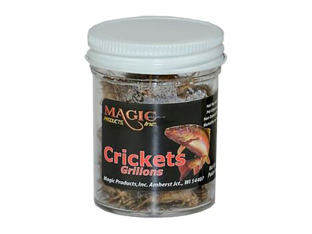 Magic Preserved Crickets Jar Karl’s Bait & Tackle