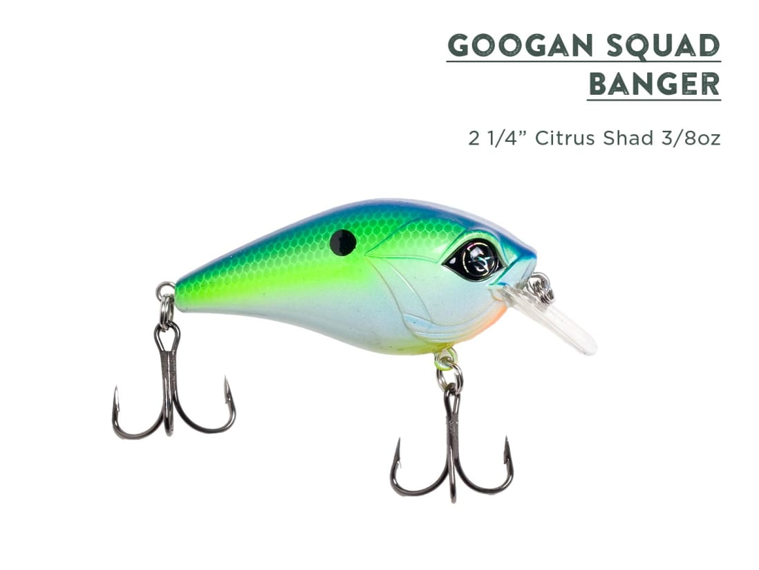 TWO FREE GIFTS?! Score a Googan Squad rod and sunglasses - Mystery Tackle  Box