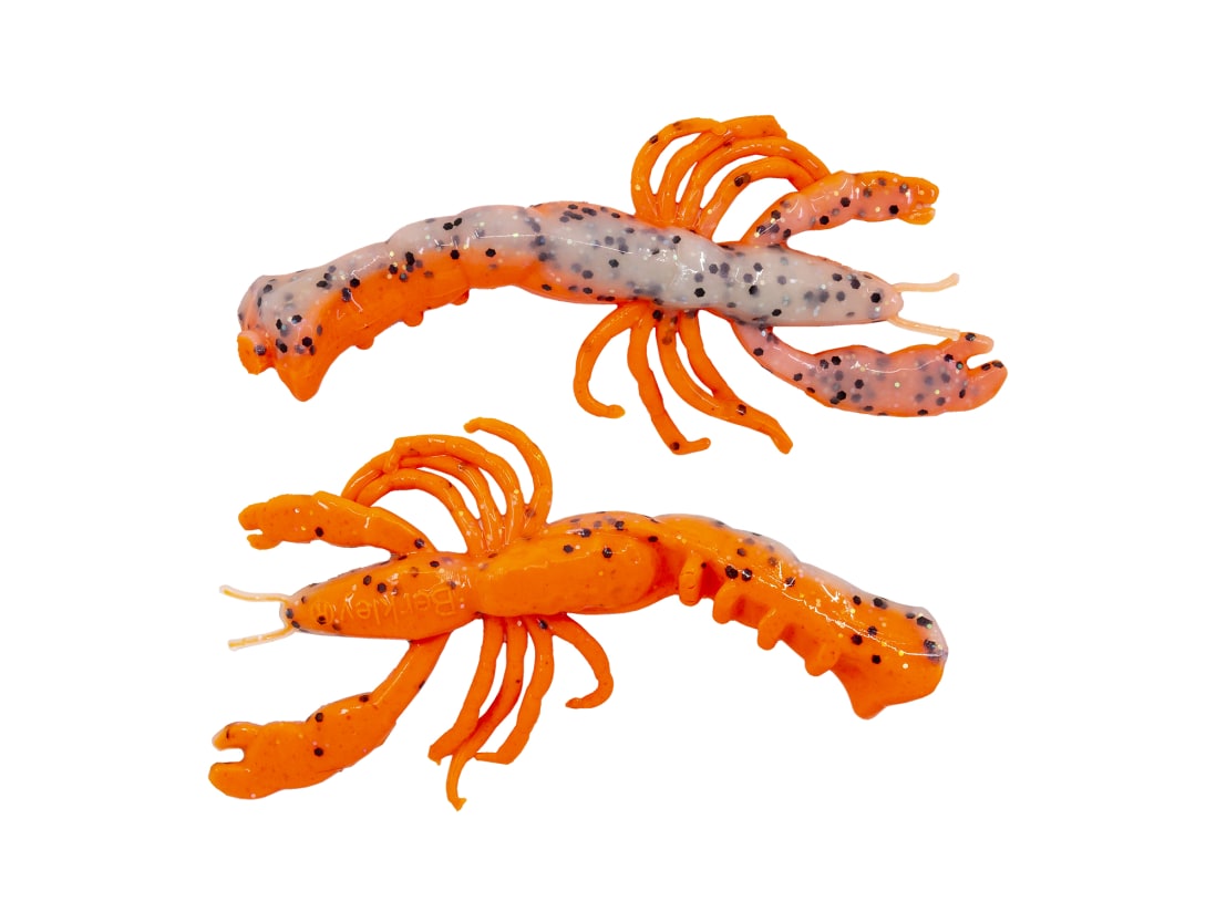 Orange Belly Shrimp