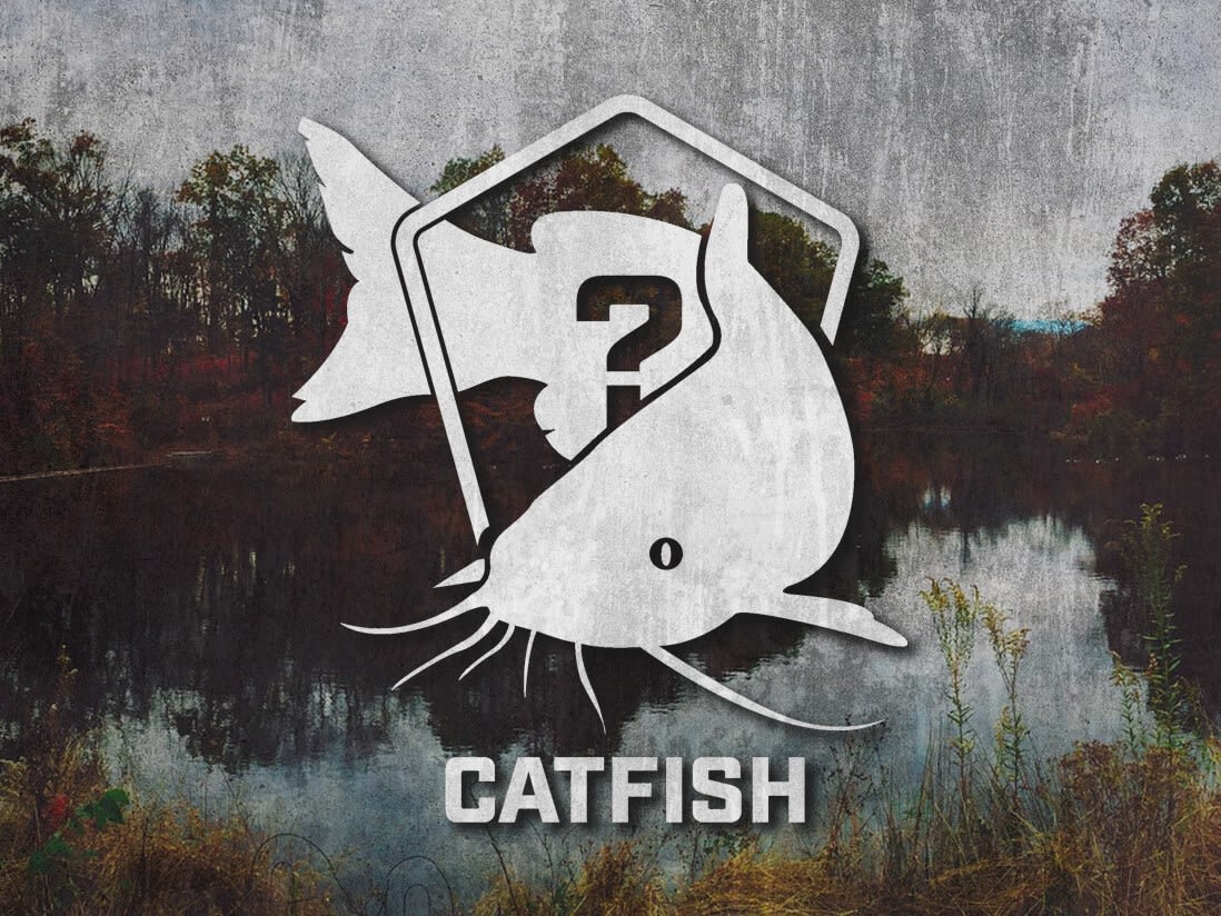 Mystery Catfish Bundle