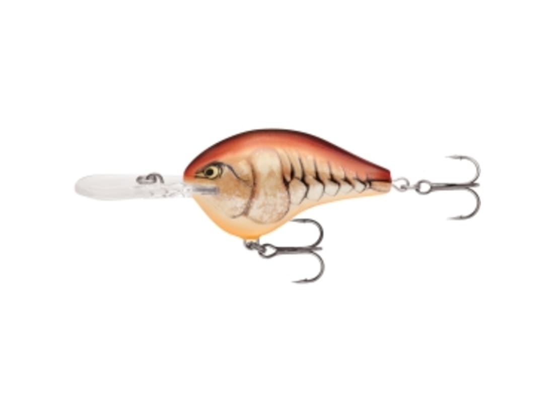 Rapala DT Series Crankbait