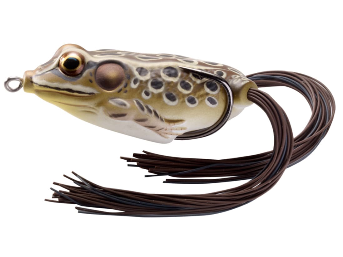 LIVETARGET Frog Hollow Body (Topwater)
