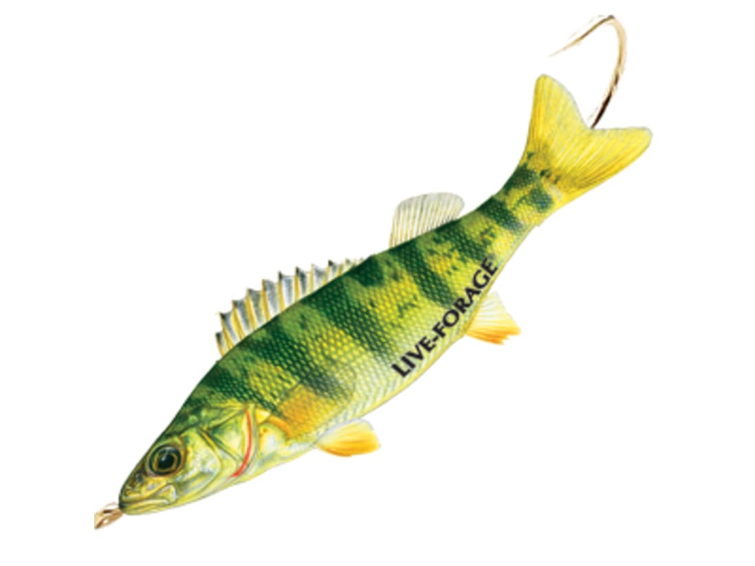 Northland Fishing Tackle Dark Green Live-Forage Mini Swimbait Lure -  LFS3-28