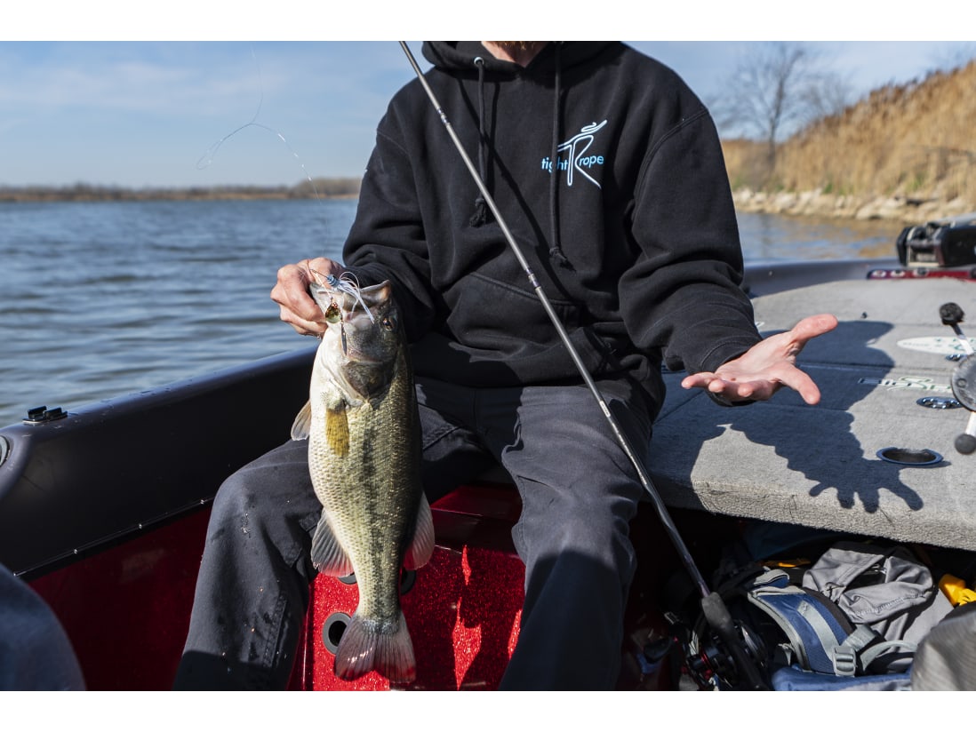 Catch Co., Introducing The Tight Rope Bite Getter! Available in May, this  new compact spinnerbait from @tightrope_fishing is loaded with juicy fish