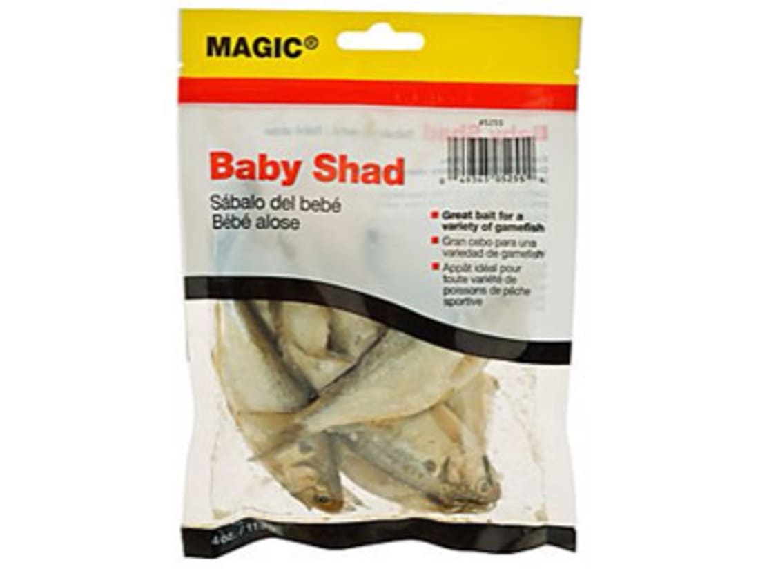 Magic Cut Shad Prepared Bait 5256 - Fishingurus Angler's International  Resources