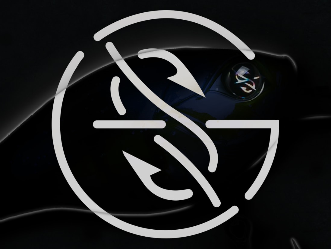 Googan squad flag