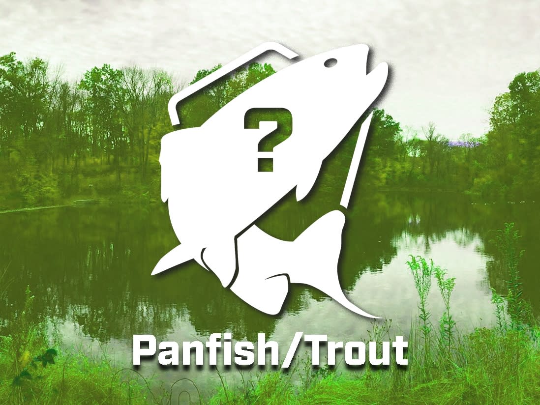 Mystery Tackle Box Trout! - May 2020 